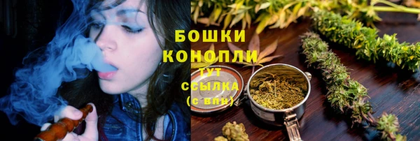 стаф Володарск