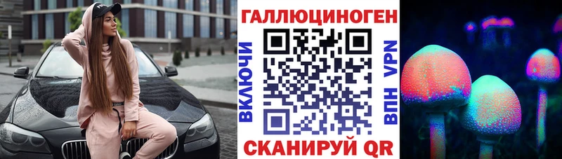 Купить  Дорогобуж  Галлюциногенные грибы Psilocybe 