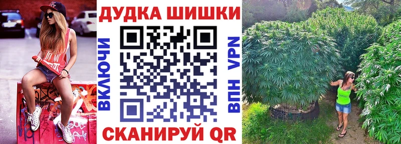 Канабис планчик  Купить закладки  Дорогобуж 